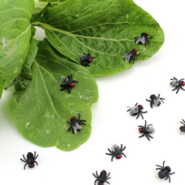 MP 154A ( spiders & flies )
