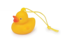 BW 321 ( little happy baby duck )