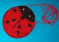 SR 14 ( kids wallet ladybug with pearls )