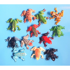 S 004 ( frog in poly bag )