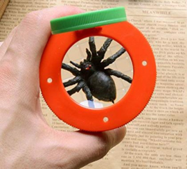 BL 028 ( one section bug viewer )
