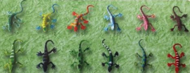 BB 10 ( colorful lizards in polybag ) ----- 24 pcs in polybag