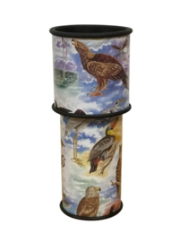 GA 001 ( kaleidoscope aviary, butterfly, fish, ladybird and sea world )
