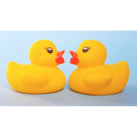 AM 248 ( water squirter duck yellow )