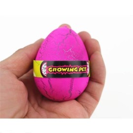 AT 2881C ( colored growing egg dinosaur ) ----- 12 pcs in display
