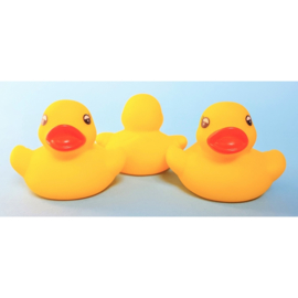 AM 248 ( water squirter duck yellow )