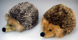 IN 011 ( plush hedgehog )