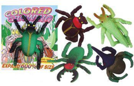 TS 1618 ( colored growing insect ) ----- 48 pcs in display