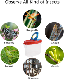 PI 009 ( insect case set ) ----- 6 pcs in display