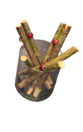 CW 9797 ( wooden carving's pen tree with ladybird )