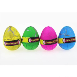 AT 2881C ( colored growing egg dinosaur ) ----- 12 pcs in display