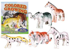 TS 1782 ( colored growing safari ) ----- 48 pcs in display