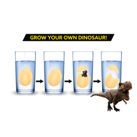 AT 2881 ( growing egg dinosaur ) ----- 12 pcs in display