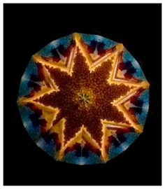 GA 032 ( kaleidoscope with 2 tube sea life )