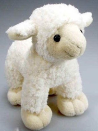 IN 009 ( plush lamb )