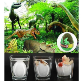 AT 2881C ( colored growing egg dinosaur ) ----- 12 pcs in display