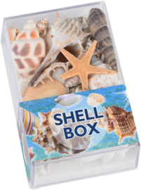 SR 06 ( shell box ) ----- 18 pcs in display