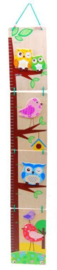 H 070 ( wooden growth chart owl and bird )