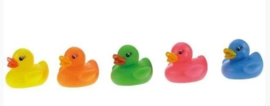 BW 1414 ( water squirter colorful ducks )