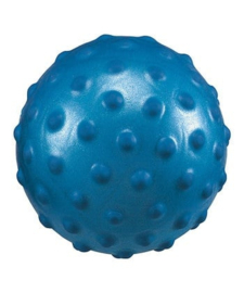 SB 001N ( super ball nobbie )