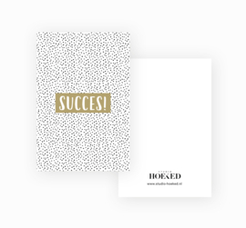 Minikaartje - succes
