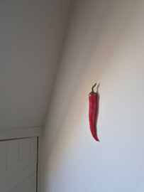 Wandhanger Pepertje 3