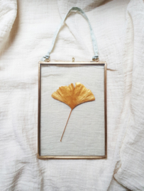 Gouden Ginkgo blad in vintage messing lijst - MEDIUM