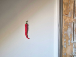 Wandhanger Pepertje 3