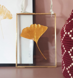 Gouden Ginkgo blad in vintage messing lijst - MEDIUM