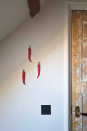 Wandhanger Pepertje 2