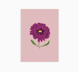 Ansichtkaart || chrysant