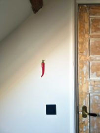 Wandhanger Pepertje 1