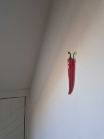 Wandhanger Pepertje 1