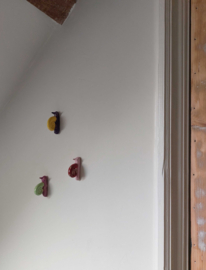 Wandhanger Slak Keramiek - Paars/geel