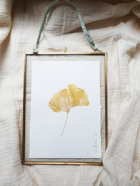 Gouden Ginkgo afdruk in vintage messing lijst - GROOT