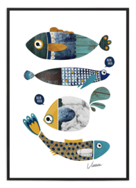 Poster Vissen
