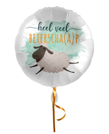 Beterschap folieballon