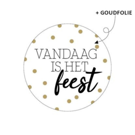 VANDAAG IS HET FEEST SLUITSTICKER