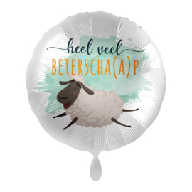 Beterschap folieballon