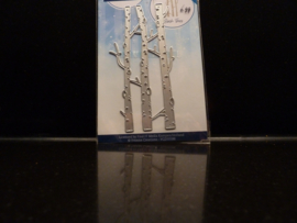BirchTrees - ycd10188