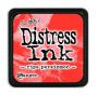 Ranger Distress Ink Mini - Ripe Persimmon