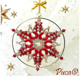 Pakket ''MA Star''®ParPuca®  rood met zilver