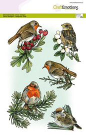Clear Stamp Birds in Winter- 130501-3031