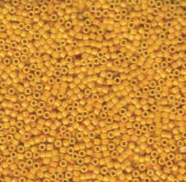 DB651   Dyed Opaque Squash