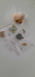 Pakket "MissLipsi"®ParPuca®Beads  Kleuren: Groen-l groen-goud