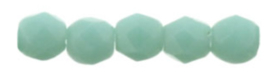 FP 02 -M63130 Matte Opaque Turquoise