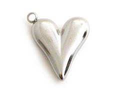 Stainless Steal Hart massief