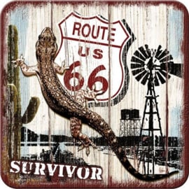 Onderleggers Route 66