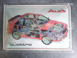Metaalplaat Audi Sport Quattro