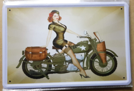 Metaalplaat Harley Davidson